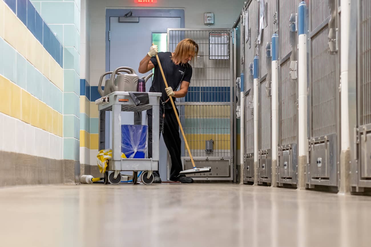 Stinky Dogs? Why Our Products Are A Must For Kennels